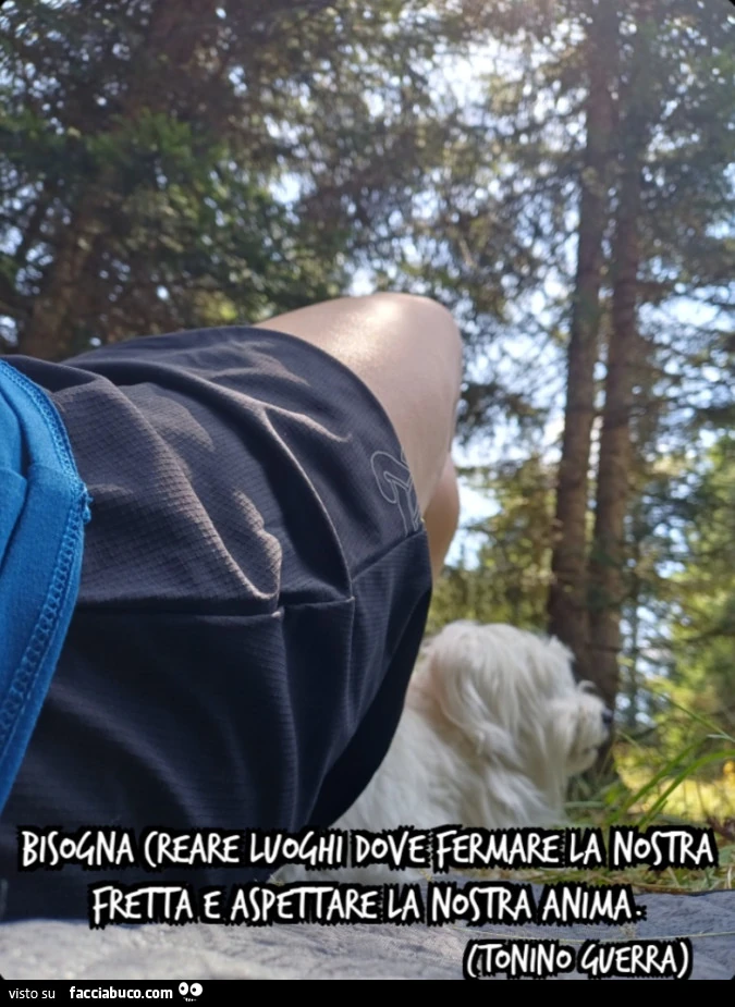 Sogna creare luoghi dove fermare la nostra fretta e aspettare la nostra anima. Tonino Guerra