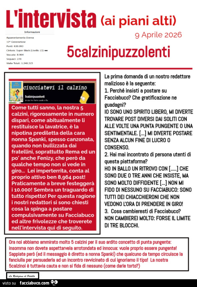 L'intervista a 5calzinipuzzolenti