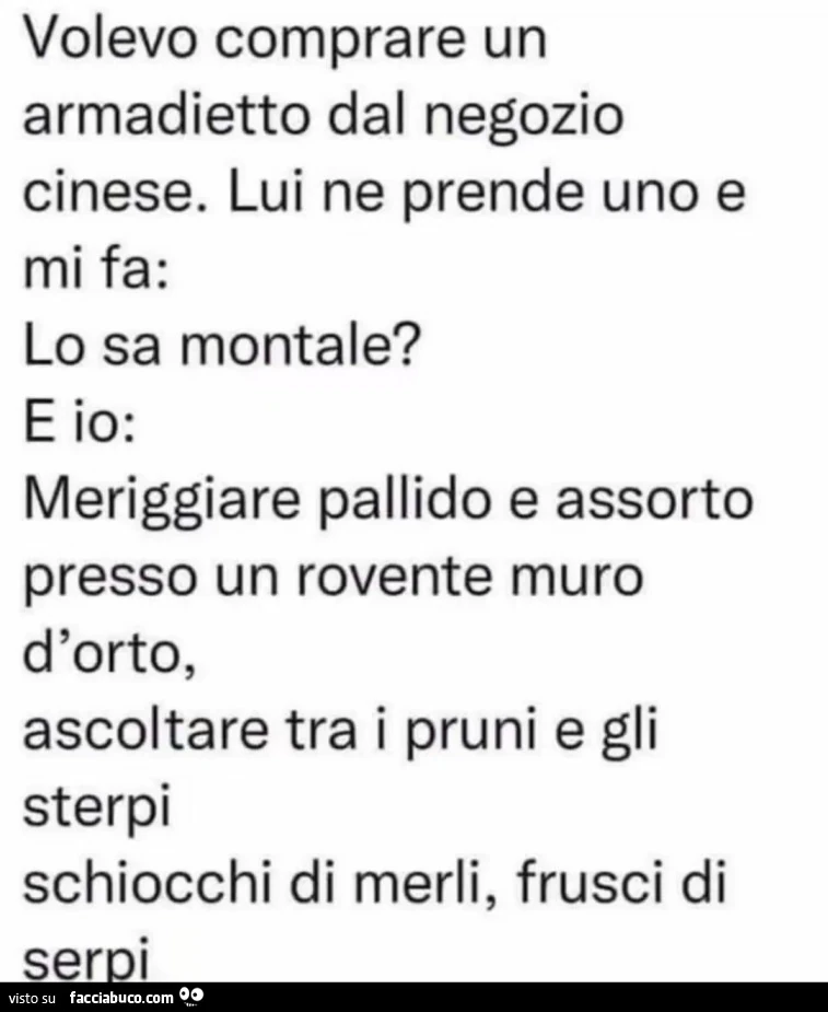 Volevo comprare un armadietto dal negozio cinese. Lui ne prende uno e mi fa: lo sa montale?