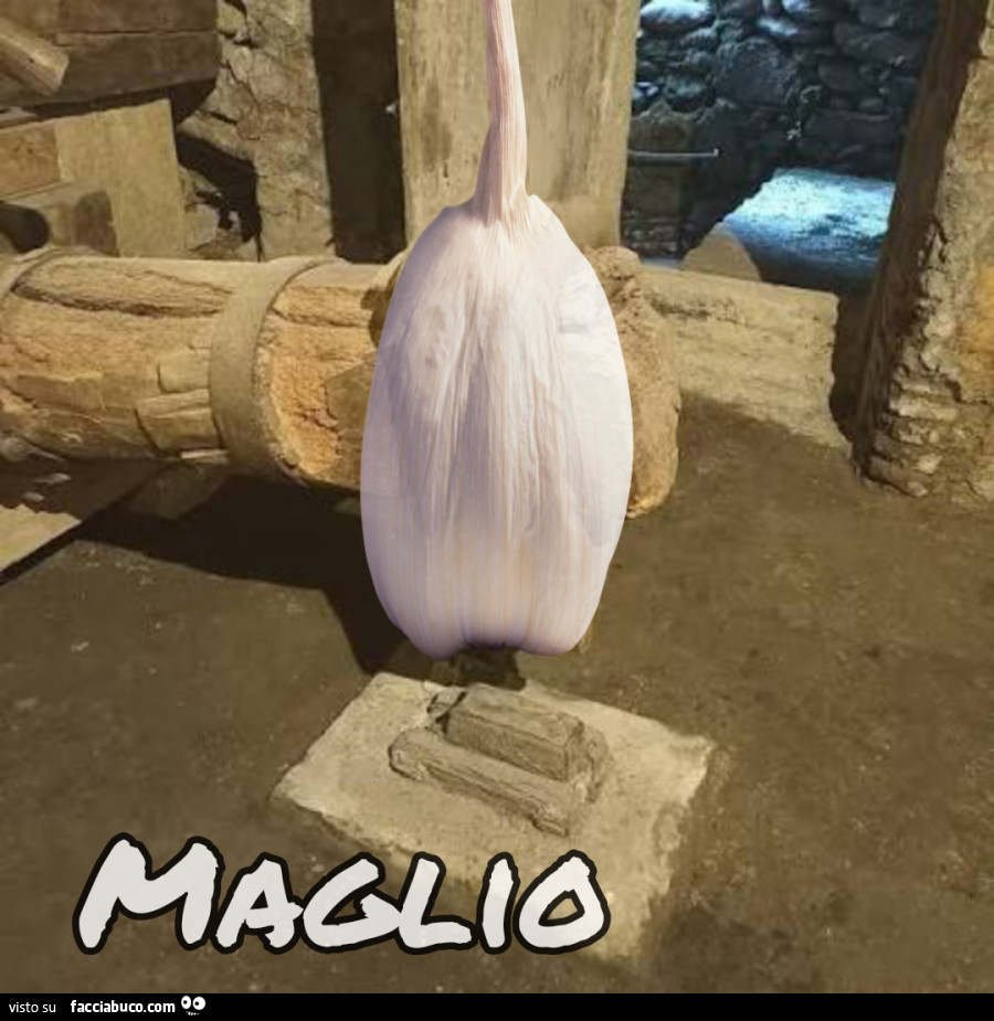 Vaccata