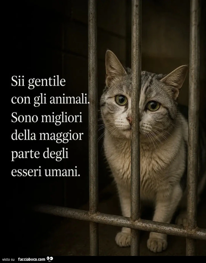 Kindness