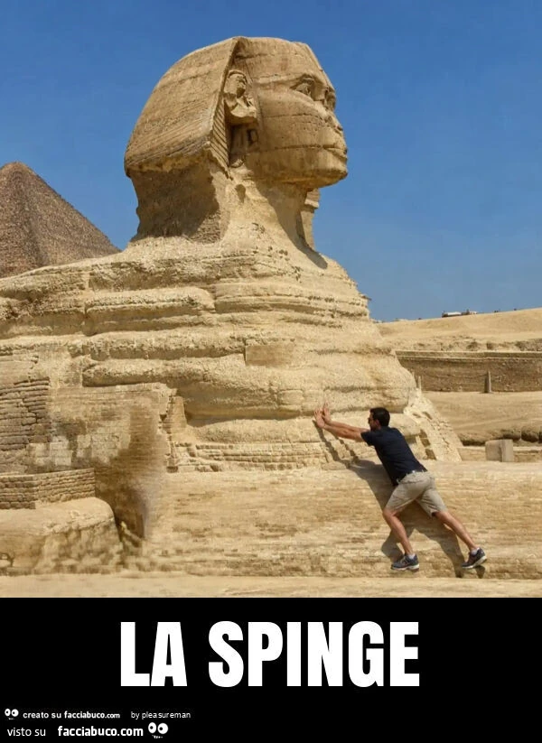 La spinge