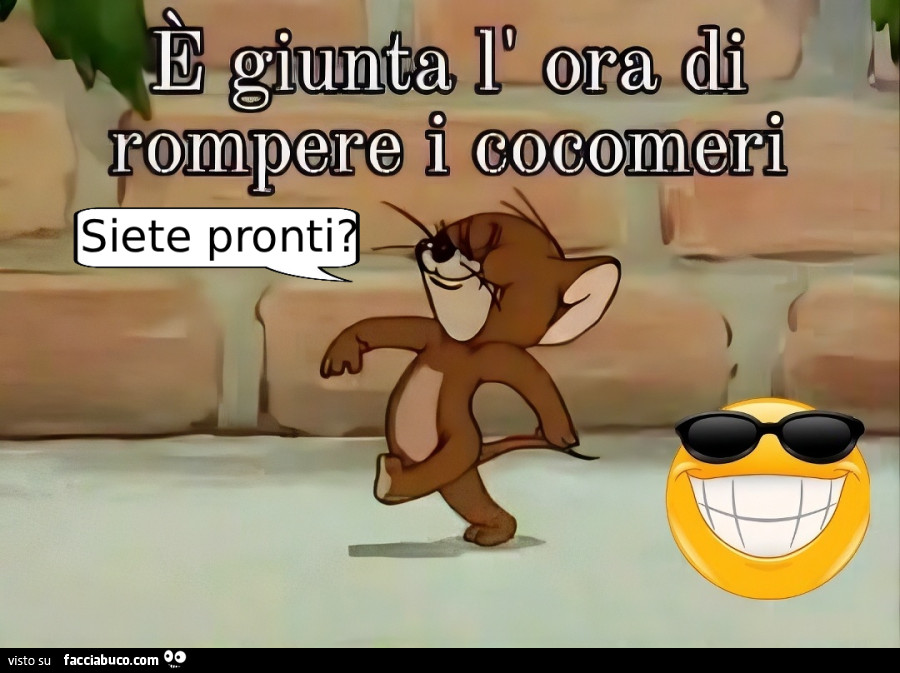 Vaccata