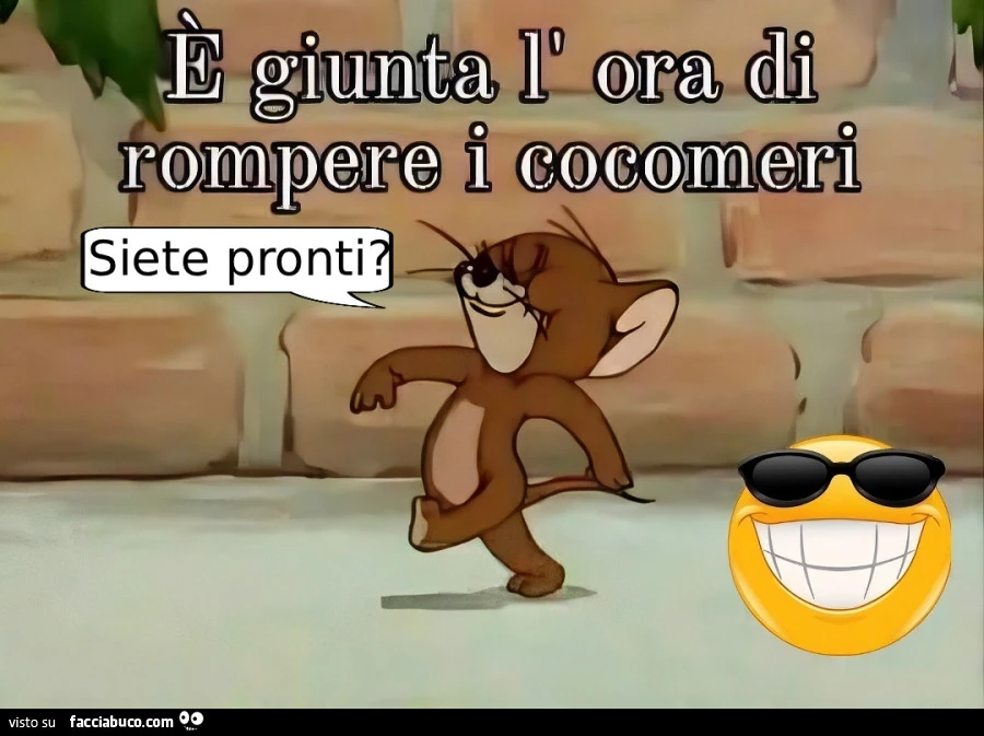 Vaccata
