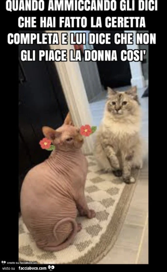 Vaccata