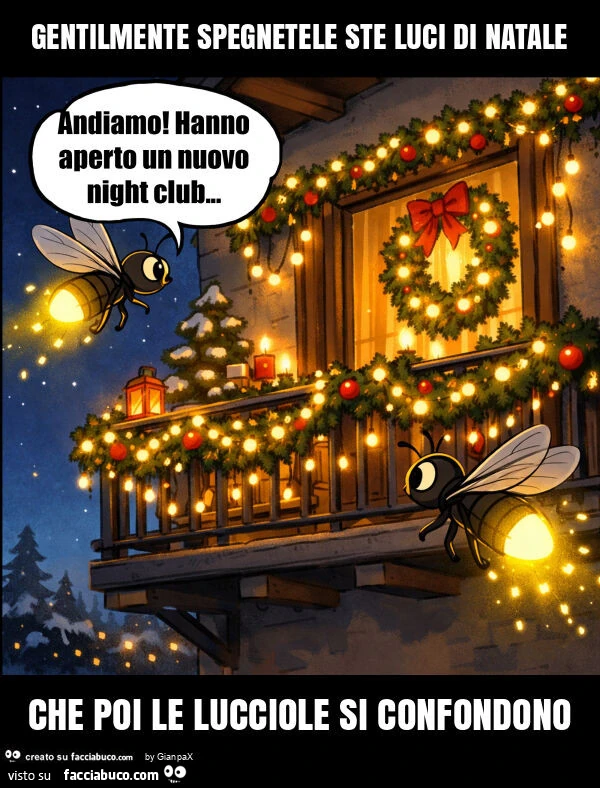 Gentilmente spegnetele ste luci di natale che poi le lucciole si confondono