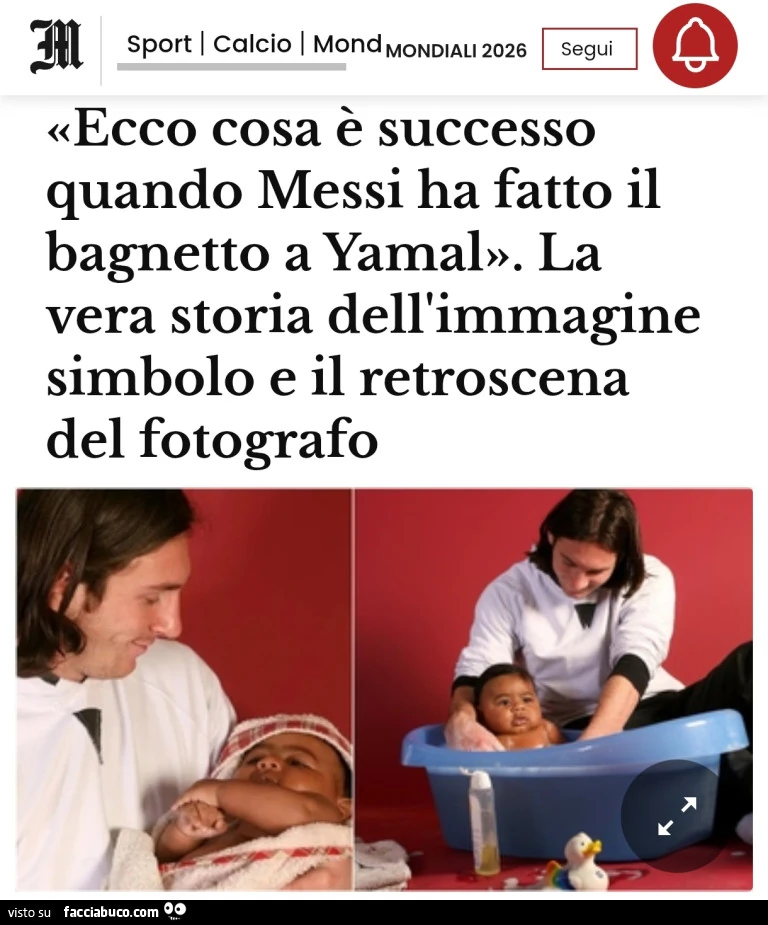 Vaccata