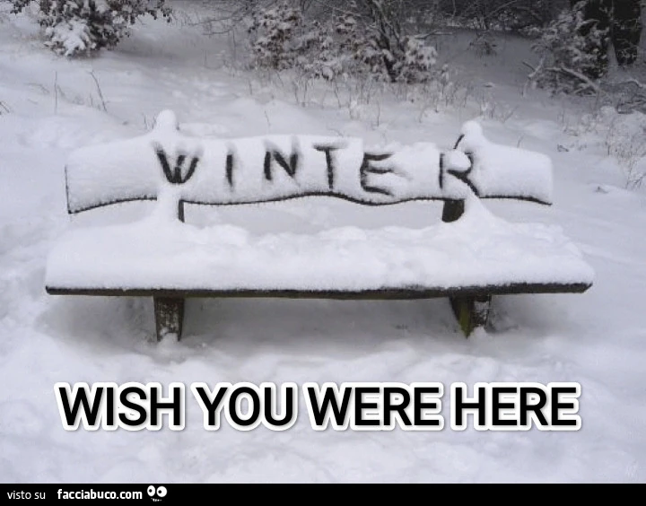 Wish You Were Here