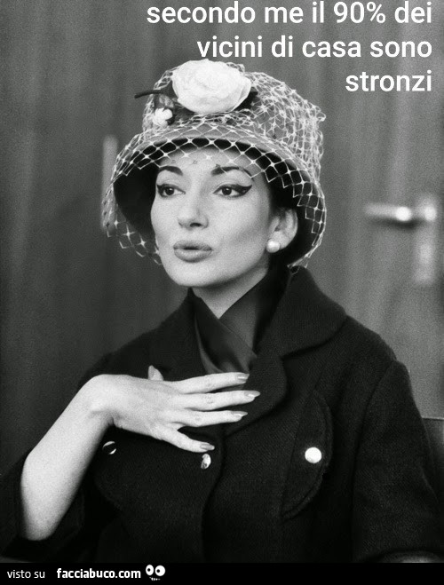 Vicini