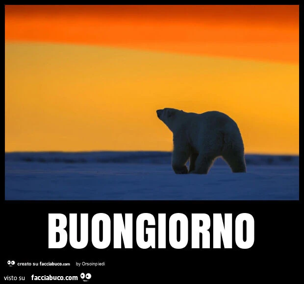 Buongiorno