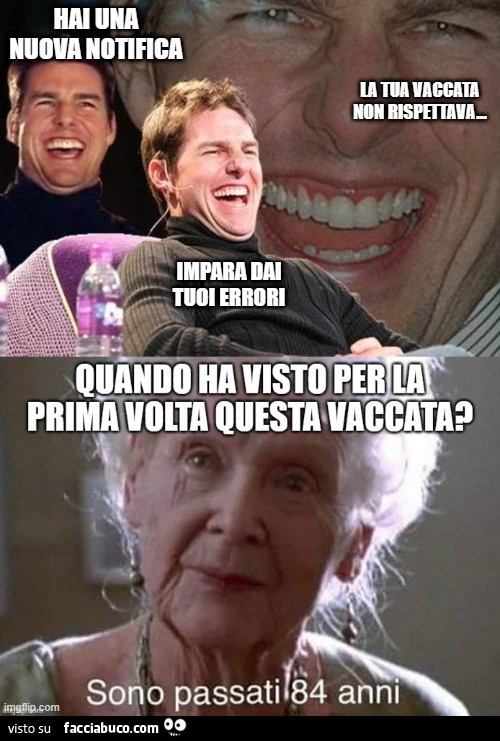 Vaccata