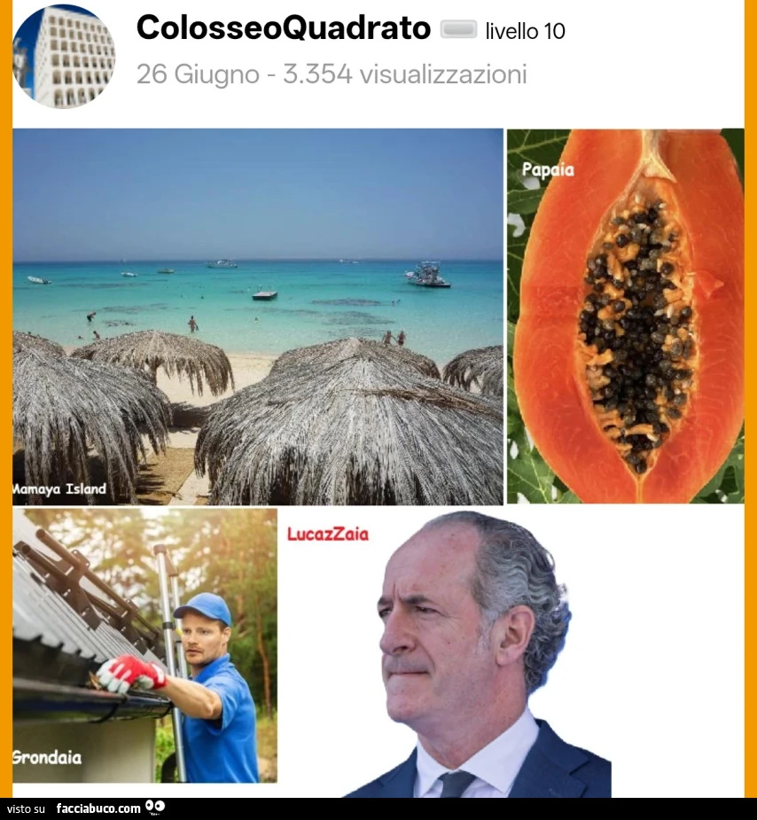 Vaccata