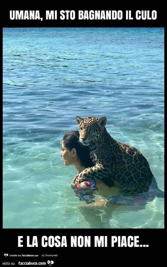 Umana, mi sto bagnando il culo e la cosa non mi piace