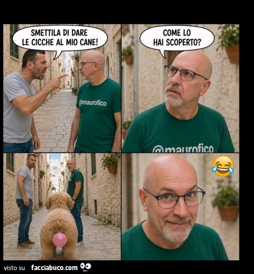 Cicche