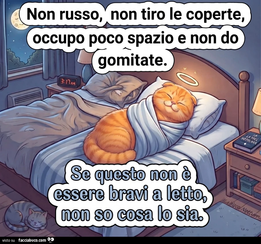 Buonanotte Facciabuco Gatti