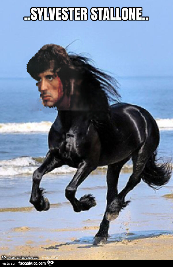 Sylvester stallone