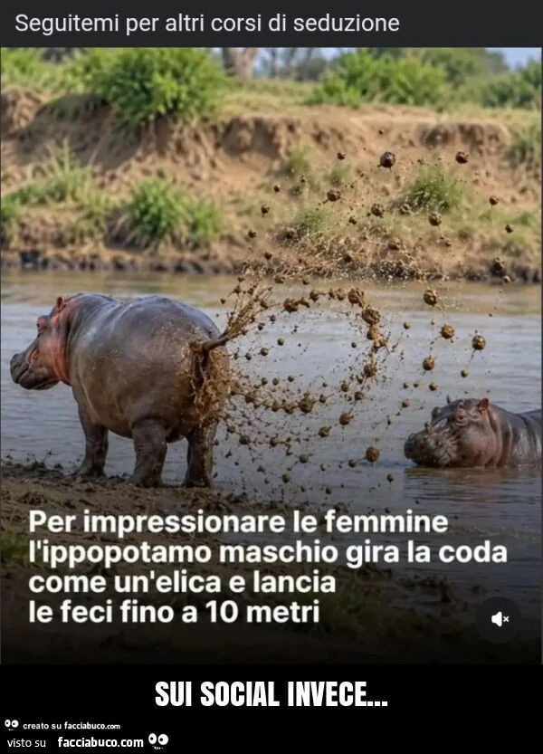 Sui social invece