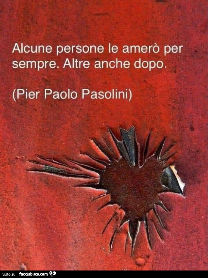 Alcune persone le amerò per sempre. Altre anche dopo. Pier Paolo Pasolini