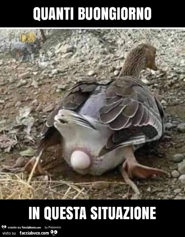 Quanti buongiorno in questa situazione