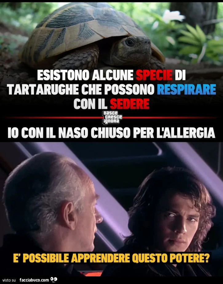 Esistono alcune specie di tartarughe che possono respirare con il sedere io con il naso chiuso per l'allergia รจ possibile apprendere questo potere