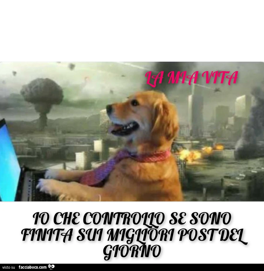 Vaccata