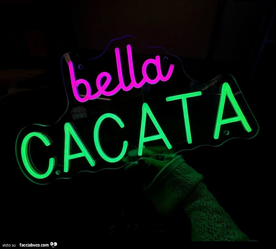 Bella cacata