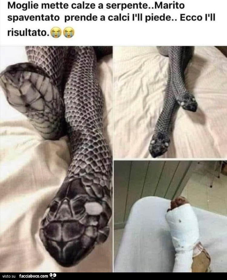 Vaccata