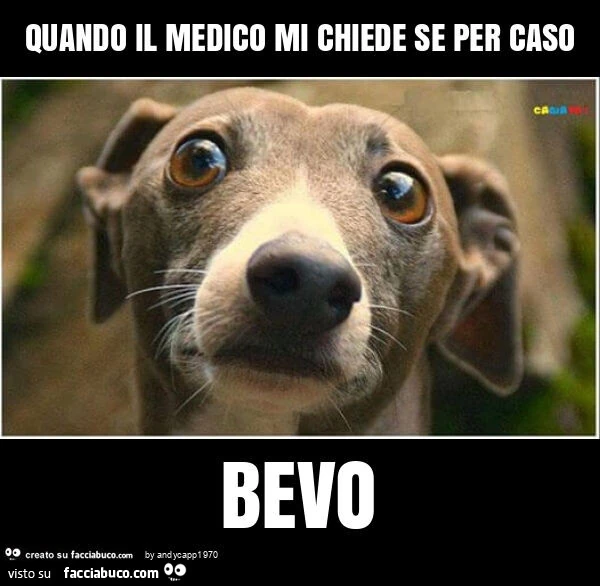 Quando il medico mi chiede se per caso bevo