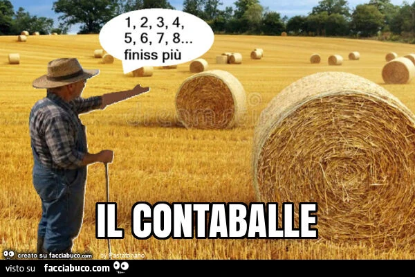 Il contaballe