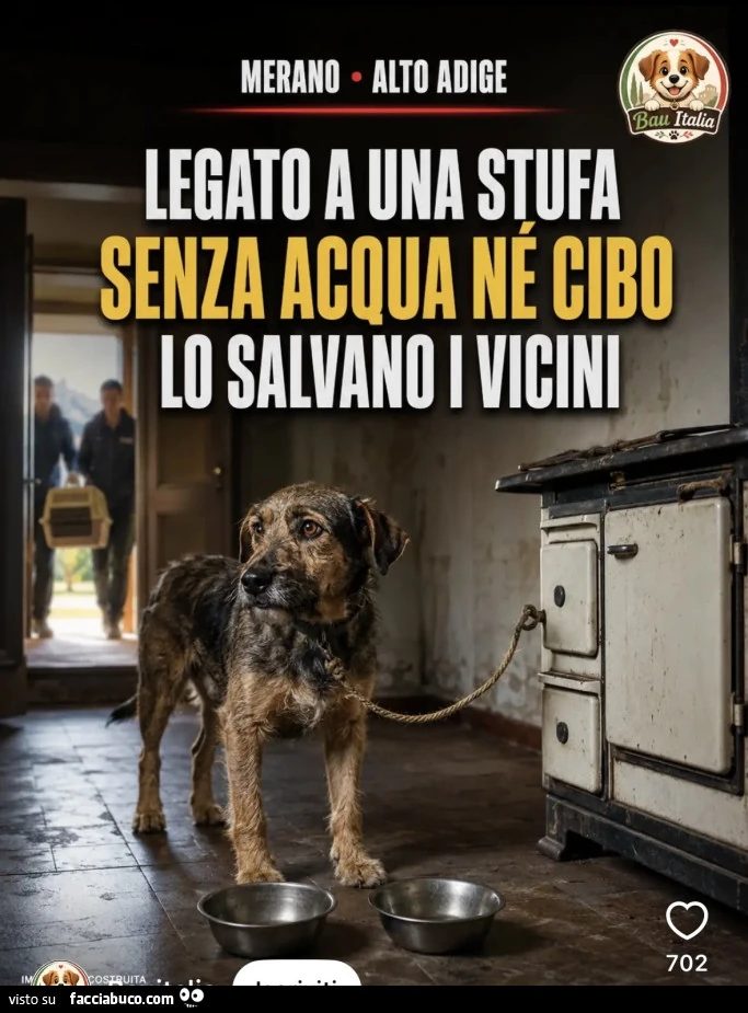 Vaccata