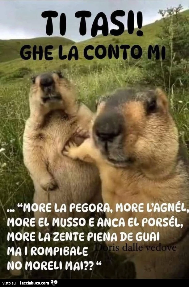 Vaccata