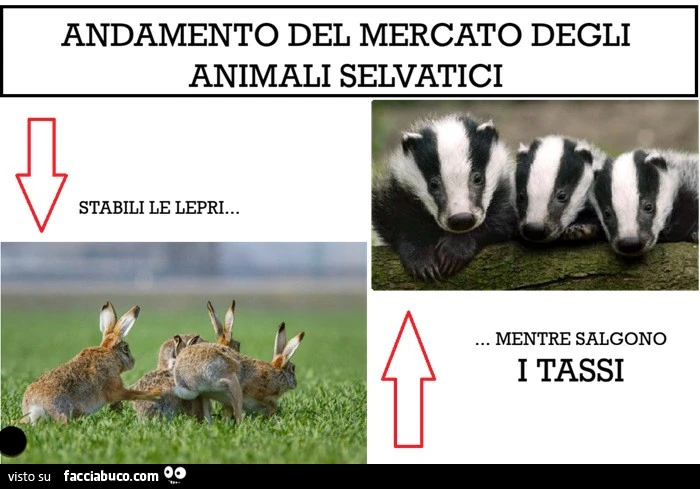 Aumento dei Tassi