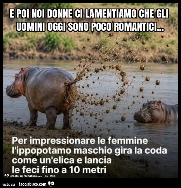E poi noi donne ci lamentiamo che gli uomini oggi sono poco romantici