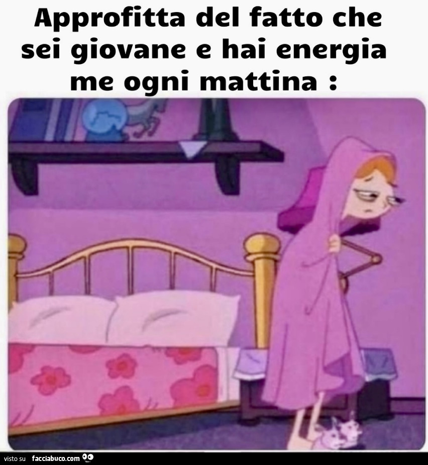 Vaccata