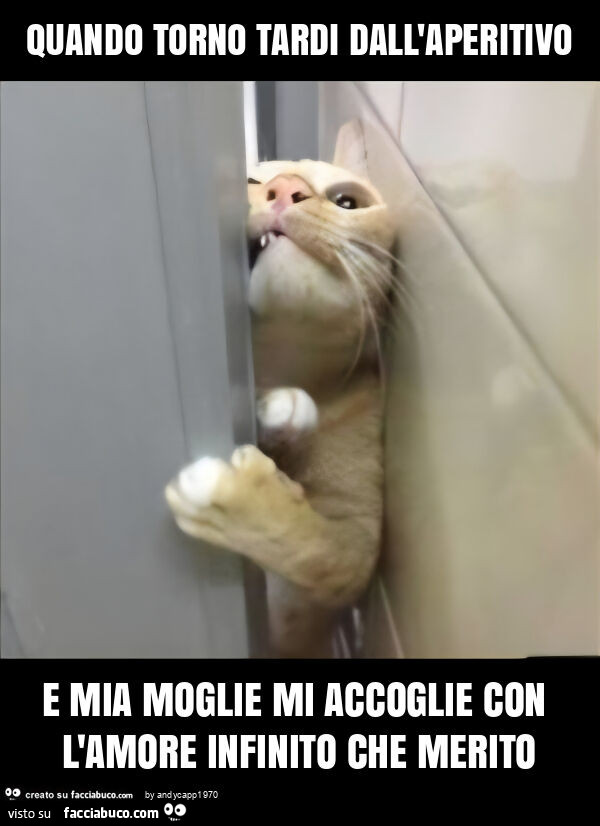 Quando torno tardi dall'aperitivo e mia moglie mi accoglie con l'amore infinito che merito