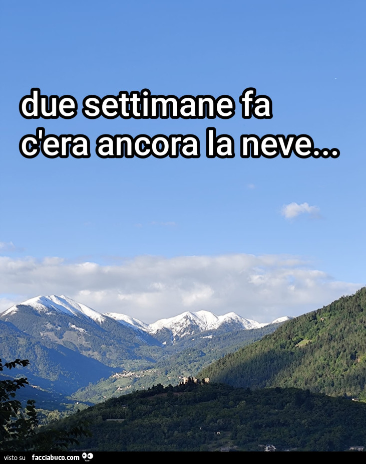 Vaccata