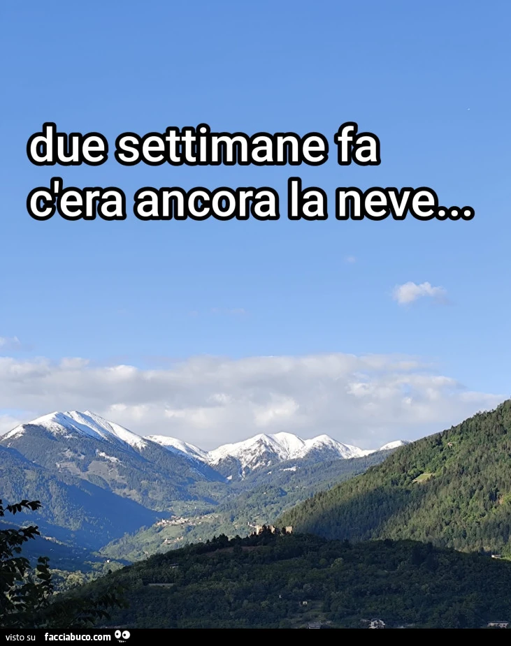 Vaccata