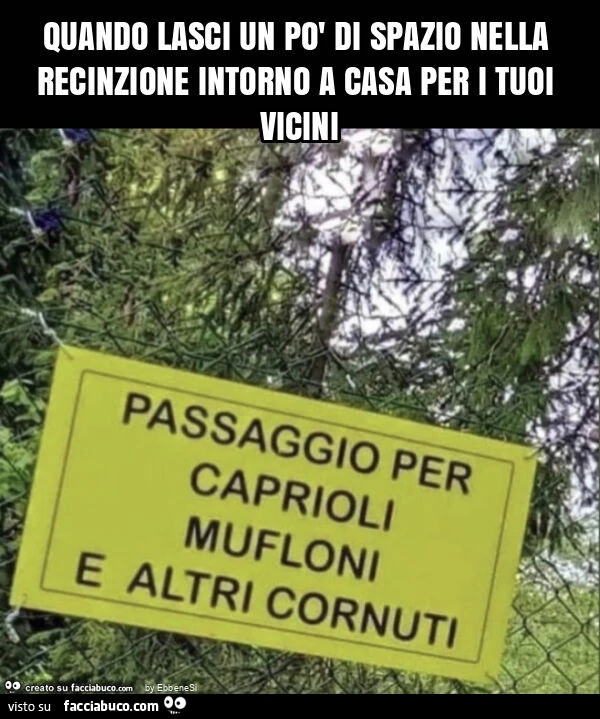 Quando lasci un po' di spazio nella recinzione intorno a casa per i tuoi vicini