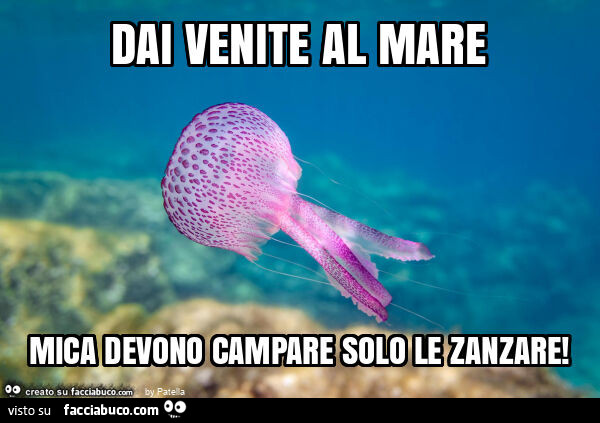 Il bacio della medusa