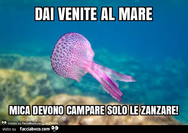 Il bacio della medusa