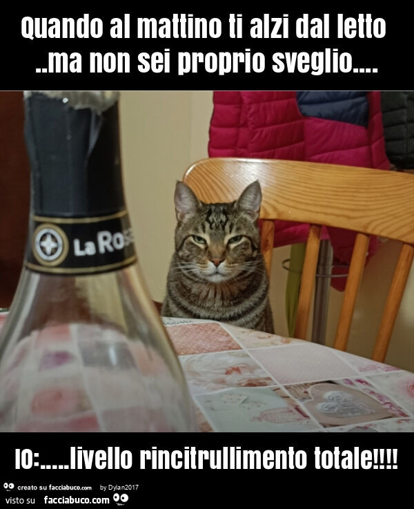 Quando al mattino ti alzi dal letto. Ma non sei proprio sveglio… io: … livello rincitrullimento totale