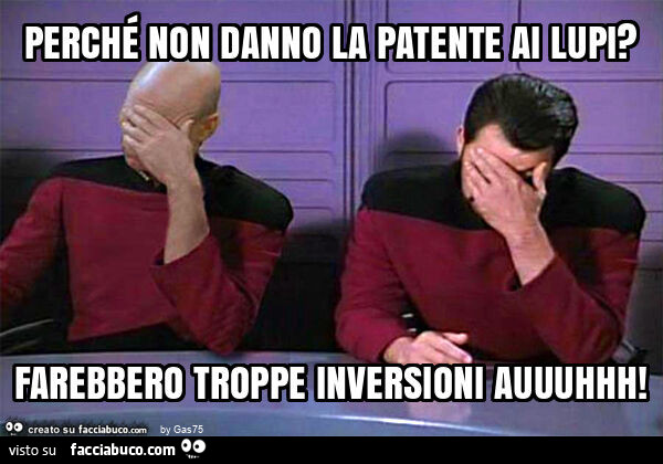 Perché non danno la patente ai lupi? Farebbero troppe inversioni auuuhhh