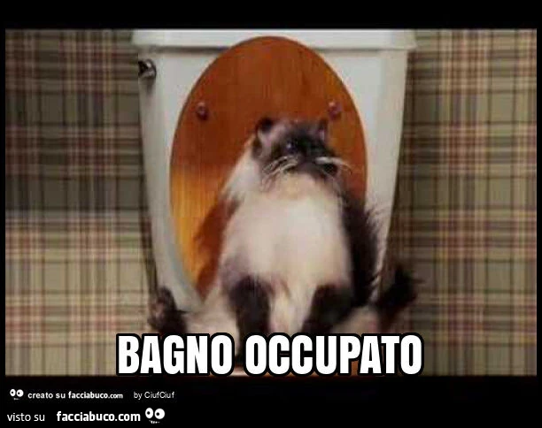 Bagno occupato