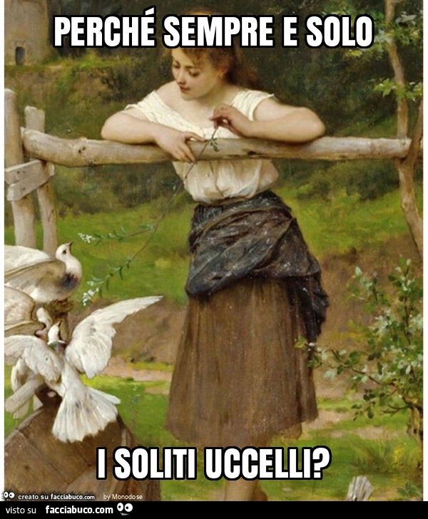 Perché sempre e solo i soliti uccelli?