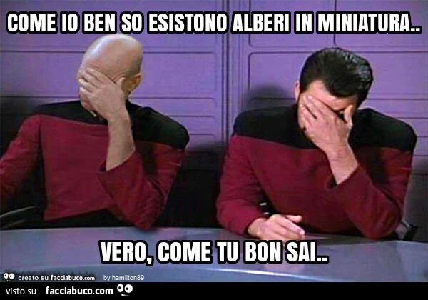 Come io ben so esistono alberi in miniatura. Vero, come tu bon sai