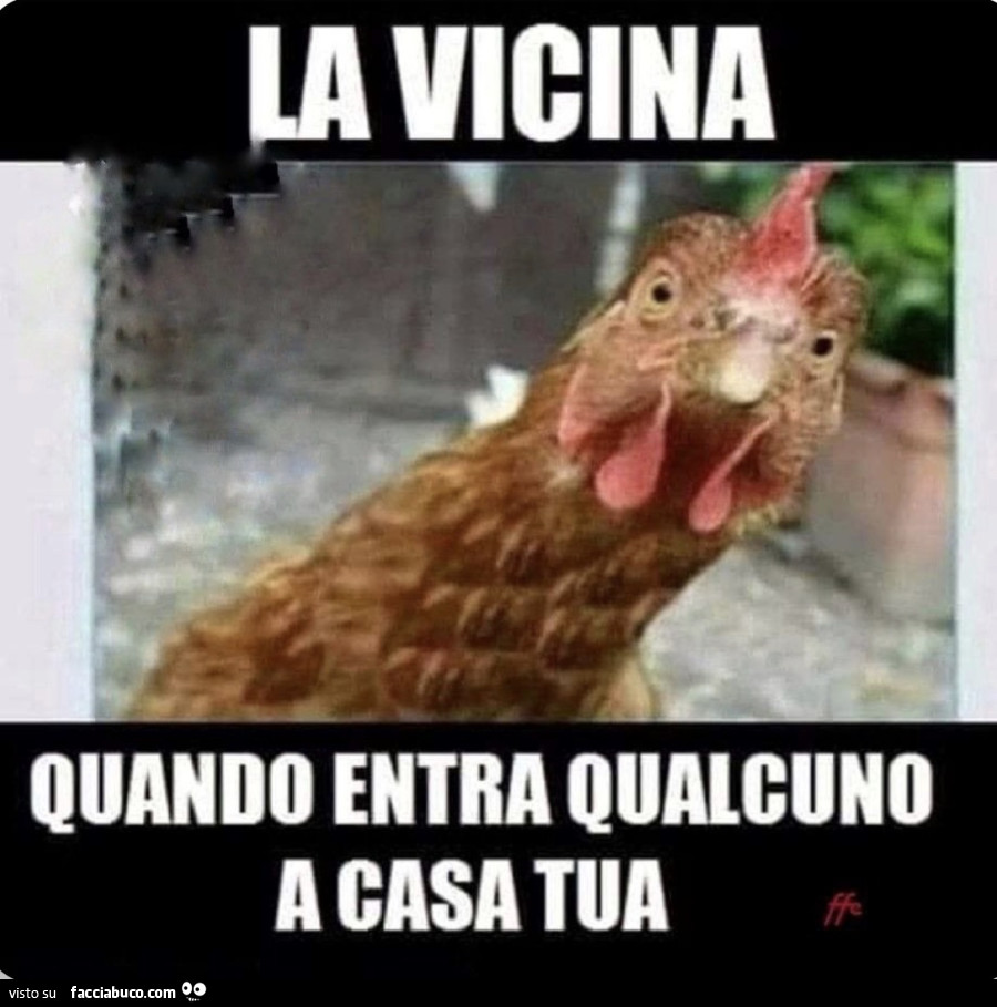 Vaccata
