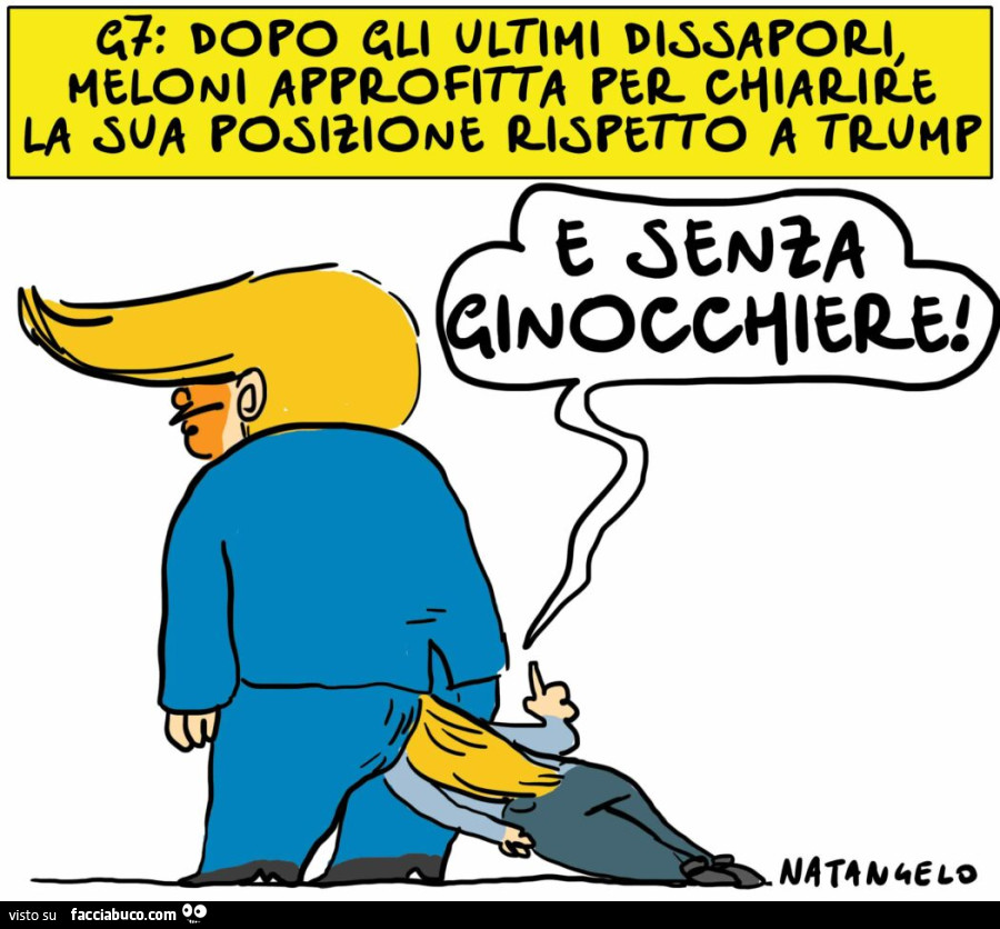 Vaccata