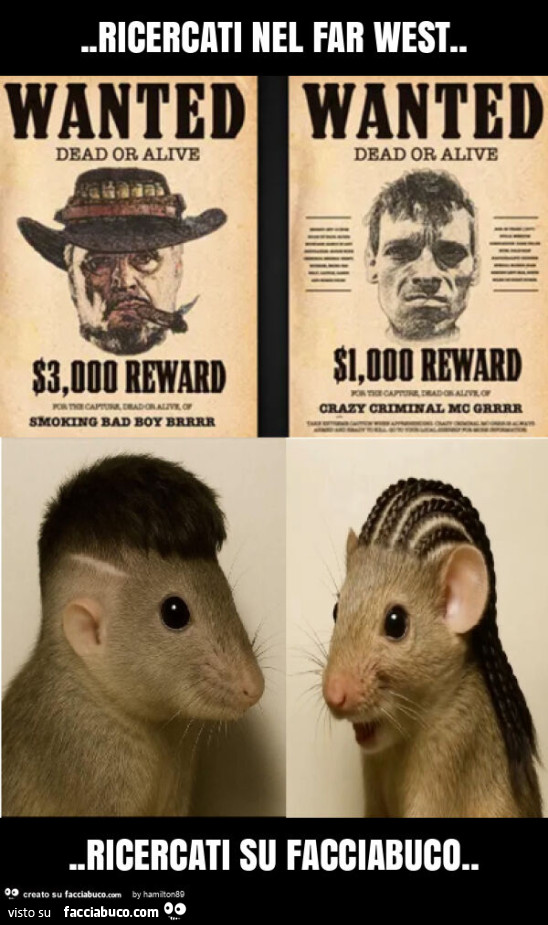 Ricercati nel far west&hellip; ricercati su facciabuco