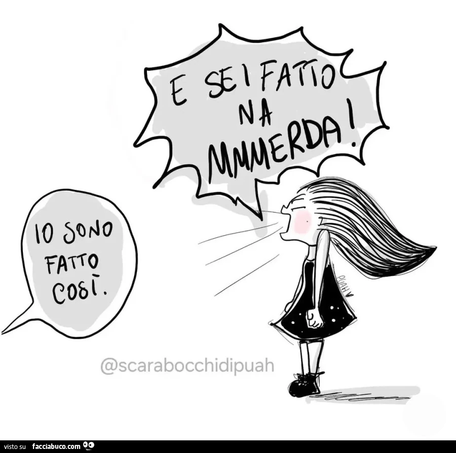 Io sono fatto così. E sei fatto na mmmerda