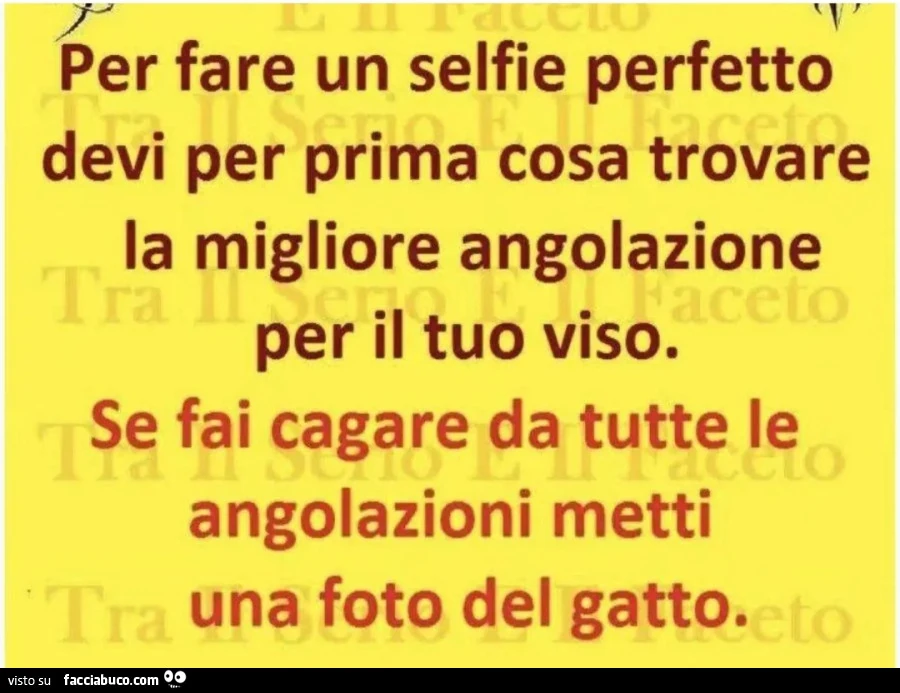 Per fare un selfie perfetto devi per prima cosa trovare la migliore angolazione per il tuo viso Se fai cagare da tutte le angolazioni metti una foto del gatto